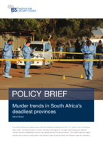 Murder Trends in South Africa's Deadliest Provinces